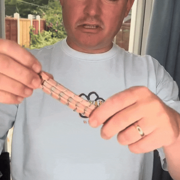 Magnetic Energy Band