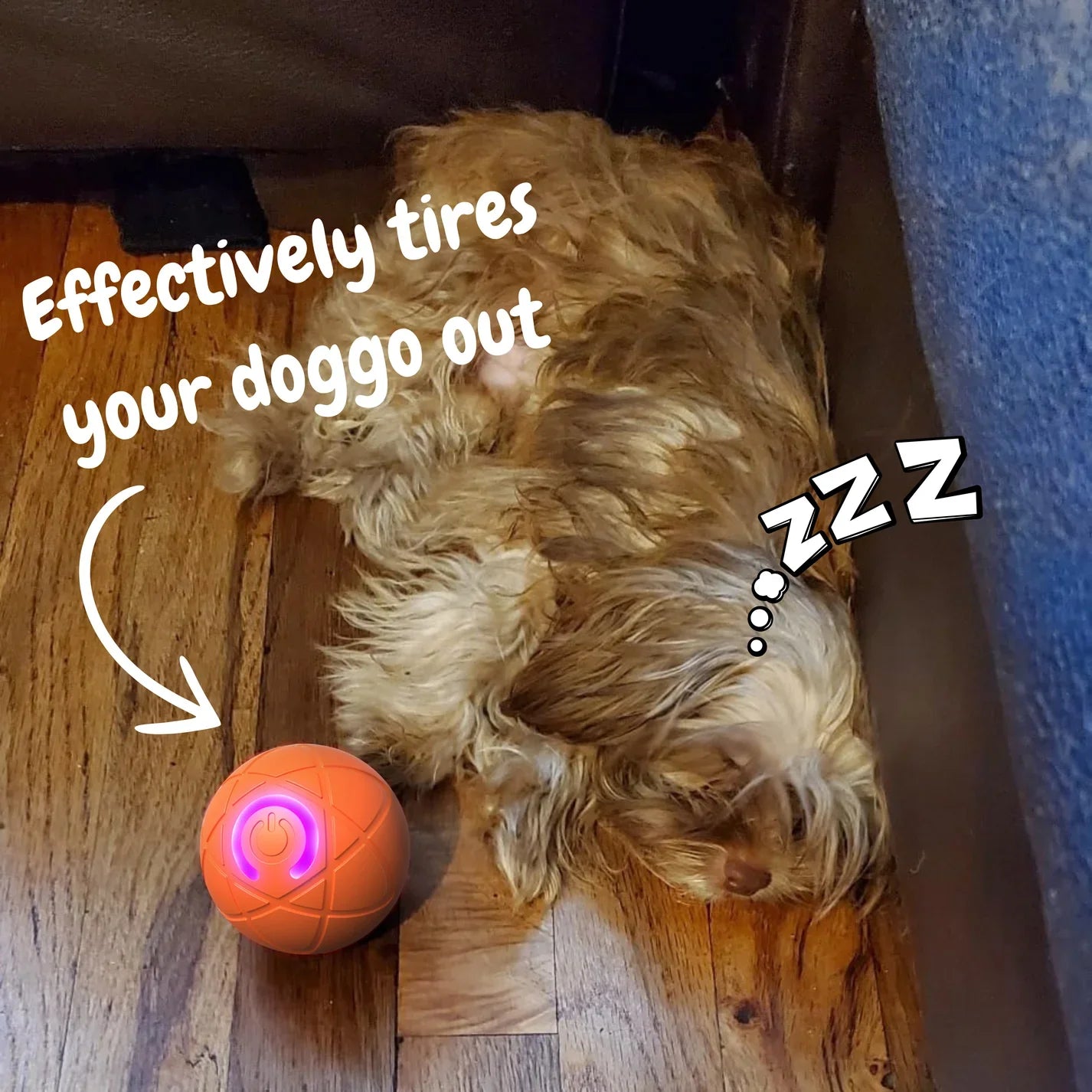 ✨2025 New Release -50% Off - Pet Bounce Ball for Dogs🐶
