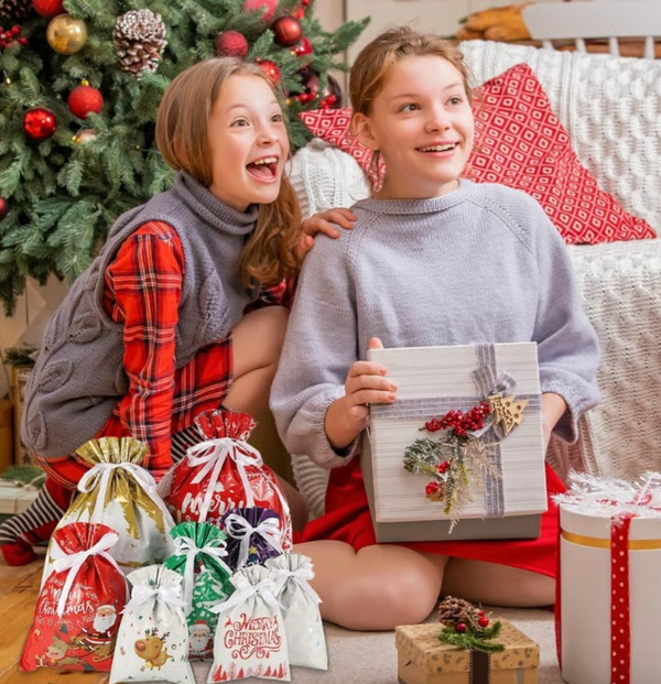 Reusable Holiday Magic Gift Bags