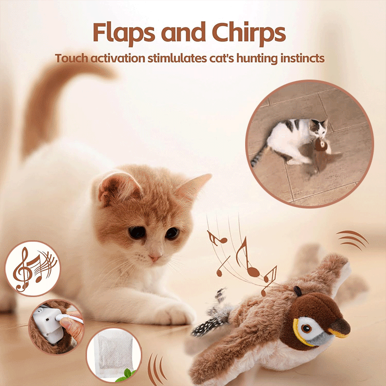 🔥 Last Day Sale Price | 🐾Interactive Lifelike Sandpiper Bird Cat Toy