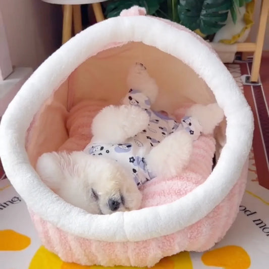 🔥 One time offer- Get another Cozy™ Washable Dog Nest and (SAVE $10)