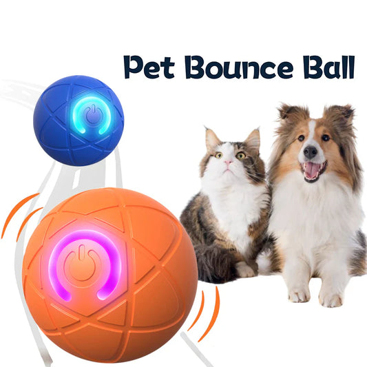 🔥 One time offer! Get Another Ball Just For $9.95 ( Save $7)