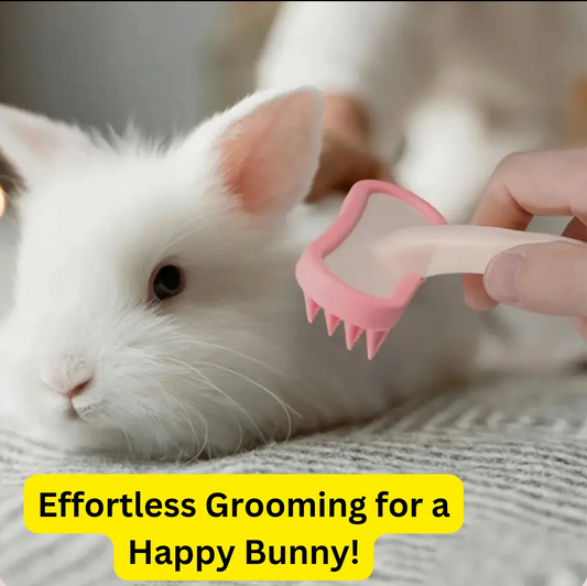 Complete Your Bunny Care with Grooming Brush!