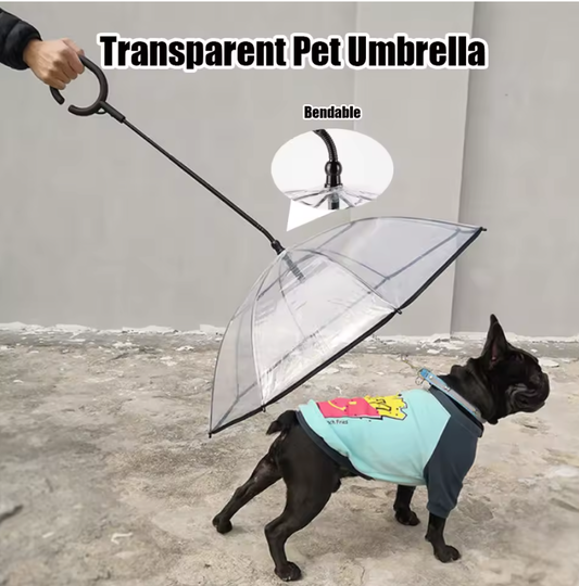 Umbrella for dogs