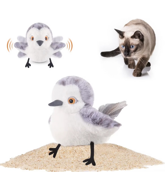 🔥 Last Day Sale Price | 🐾Interactive Lifelike Sandpiper Bird Cat Toy