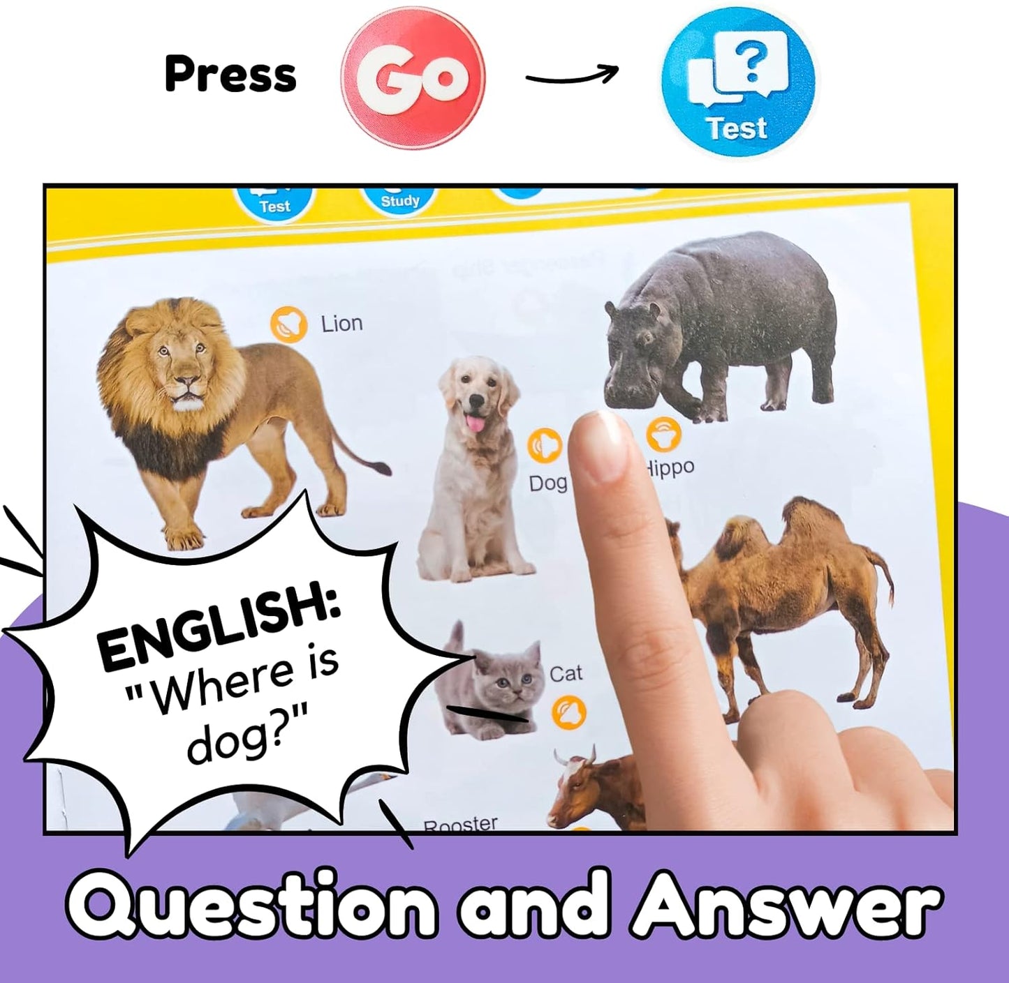 Interactive English Learning Book