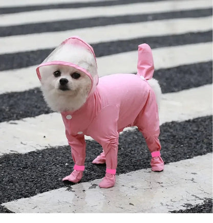 🔥 Last Day Sale Price | All-Weather Dog Rain Suit