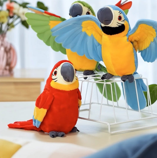 🦜 Picotoy - My Realistic Talking Parrot Friend