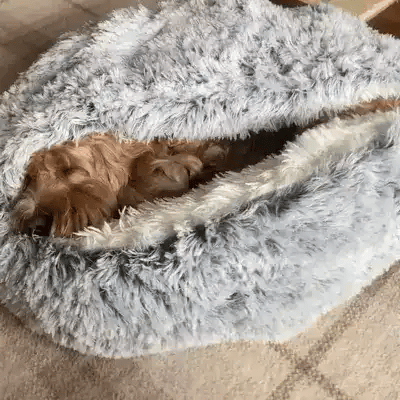 CozyNook Snuggle Cave Bed