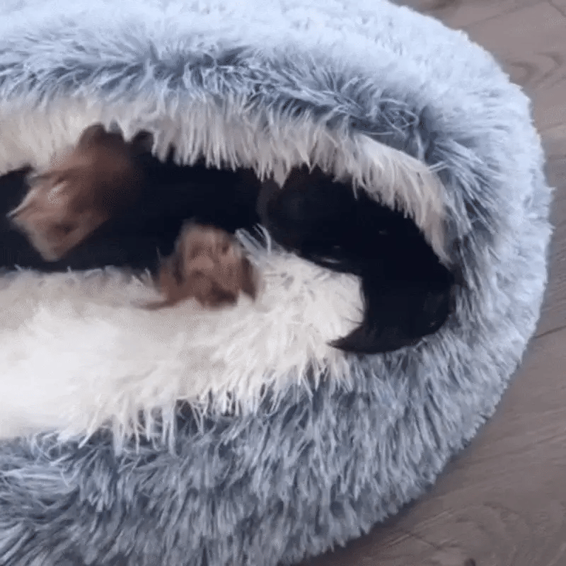 CozyNook Snuggle Cave Bed