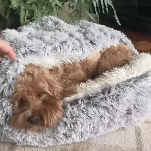 CozyNook Snuggle Cave Bed