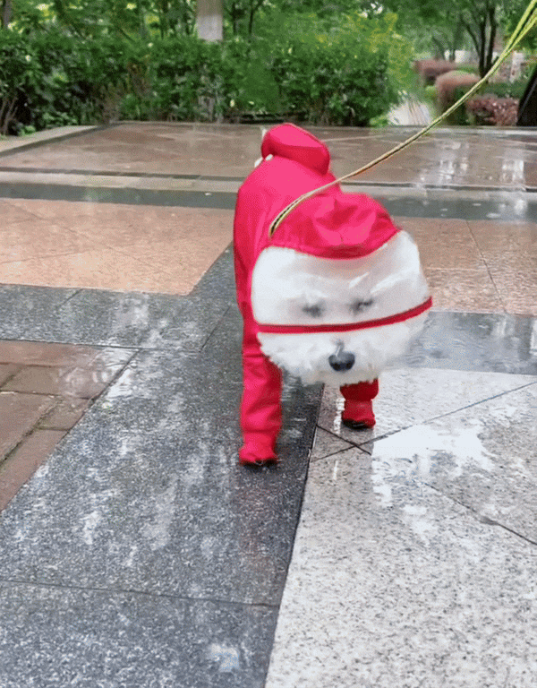 All-Weather Dog Rain Suit