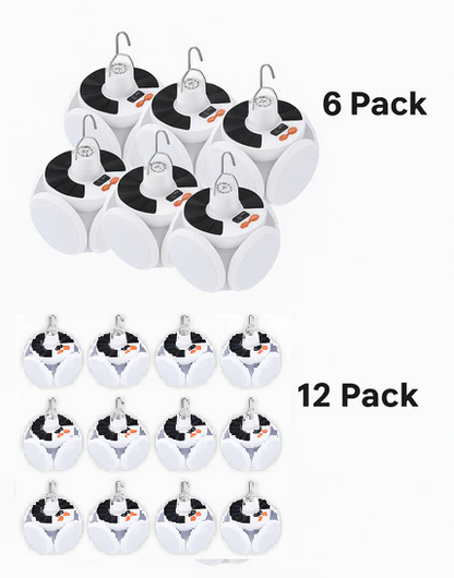 EcoGlow Solar Lantern
