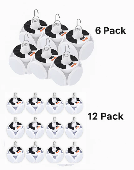 EcoGlow Solar Lantern