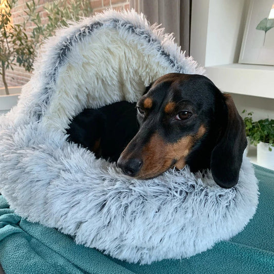 CozyNook Snuggle Cave Bed