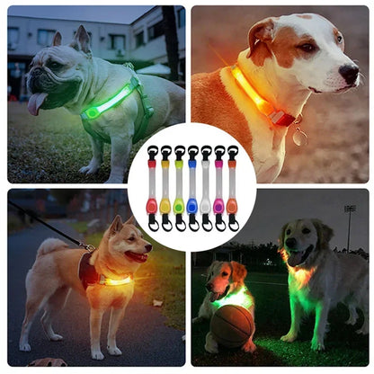 GlowGuard Waterproof LED Pet Strip