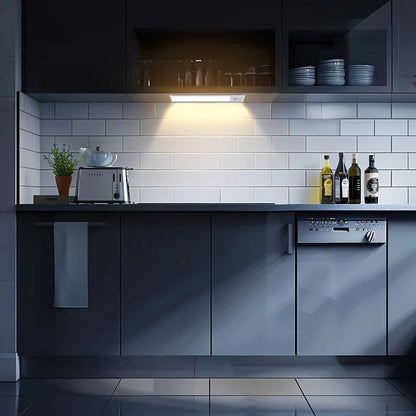 LightBright ™ LED Motion Sensor Lights